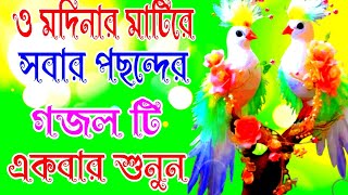 ও মদিনার মাটিরে নতুন গজল o modinar Mati re Shera gojol [upl. by Aihtyc136]