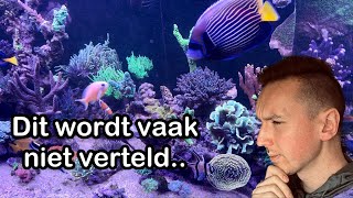 Deze 5 basisprincipes van je Zeeaquarium moeten op orde zijn [upl. by Melville313]