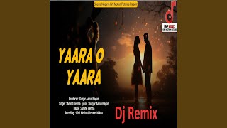 Yaara O Yaara Dj Remix [upl. by Ponce]