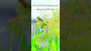 Teesra Kalma Tamjeed Arabic  Islamic Information [upl. by Ninetta]