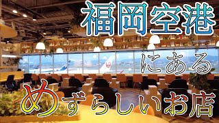 【福岡空港にあるめずらしいお店】福岡空港 福岡観光 Shops at Fukuoka Airport Japan 후쿠오카 공항의 가게 일본 福冈机场的商店 日本 [upl. by Nollahp]