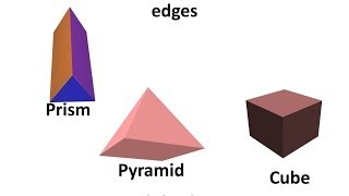 Maths  What is a Polyhedron  Regular and Irregular polyhedron  English [upl. by Whitelaw785]