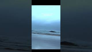 quotPort Macquarie Beach Vlog Fun in the Sunquot [upl. by Wandie541]