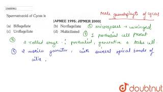 Spermatozoid of Cycas is  11  PLANT KINGDOM  BIOLOGY  ERRORLESS  Doubtnut [upl. by Quillon140]