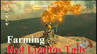 Zelda  BOTW  Part 89  Farming Red Lizalfos Tails for Snowquill armor upgrade Later [upl. by Imot]