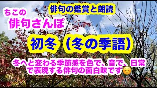 【俳句さんぽ・第147回】初冬（冬の季語）冬へと変わる季節感を色で、音で、日常で表現する俳句の面白味です☺️ [upl. by Hearn]