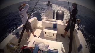 33 contender wahoo fishing  Team Fishless [upl. by Raffo]