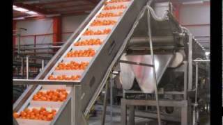 Citrus oil and juice extraction [upl. by Verlie]