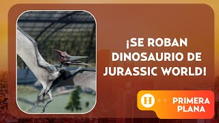 ¿Se escapó Reportan robo en Perisur de un dinosaurio valuado en 2 mdp  Primera Plana [upl. by Steep]