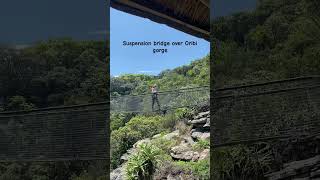 Oribi gorge suspension bridge southafrica [upl. by Idnic]