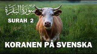 Koranen på svenska  Surah 2  alBaqarah  Kon  Med svensk översättning koranenpåsvenska [upl. by Ruosnam]