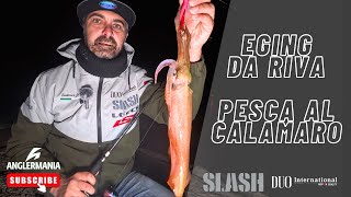 EGING DA RIVA…CALAMARI CON LA TECNICA DELL’EGING Duo Egimasa e SLASH Arcard Real X 862 M [upl. by Hadlee428]