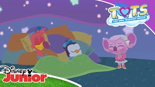 💞 Pip amp Freddys Lullaby  Disney Junior Lullabies  Disney Kids [upl. by Power]