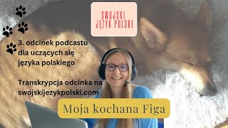 Learn Polish with transcription  Swojski Język Polski podcast Moja kochana Figa [upl. by Gorrono674]