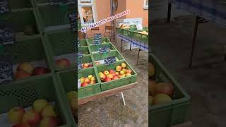 Potato Festival in Dahlem berlin germany organic farm [upl. by Olympie]