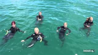 Cheerleaders Go Swimming With Dolphins In Akaroa New Zealand [upl. by Anivas599]