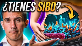 TODOS con SIBO la misteriosa RAZÓN sobrecrecimiento bacteriano [upl. by Orvil497]