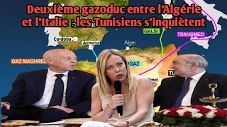 Deuxième gazoduc entre l’Algérie et l’Italie  les Tunisiens s’inquiètent [upl. by Kwon]