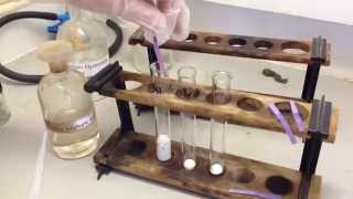 Testing for Halide Ions Experiment and Explanations ALevel Chemistry Practical [upl. by Wren]