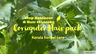 Very effective to stop Baldness Hair thinning amp regrowth using Coriander leaves keralaherbalcare [upl. by Alyce]