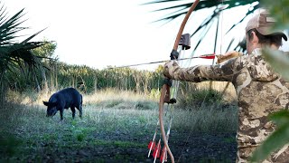 UP CLOSE Ground Hunting Hogs  Recurves and Self BOWS [upl. by Scherman966]