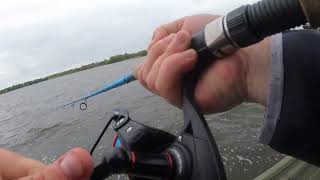 Striped Bass Fishing Delaware River [upl. by Norton]