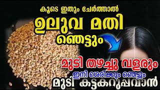 ഉലുവ ഇനി ഞെട്ടിക്കും കരിപോലെ പെട്ടന്ന് വളരാൻ uluva care hair poppy vlogs malayalam [upl. by Aicitan223]