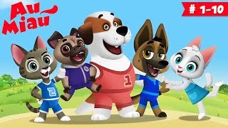 Au Miau 🐶 Desenhos animados em Português  60 minutos [upl. by Nisaj176]