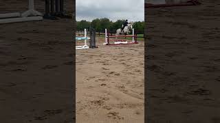 Twyla music song lyrics viralblowup blowupovernight ponyjumper showjumping [upl. by Dlaregztif548]