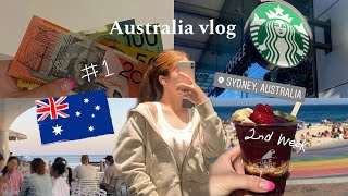 【オーストラリア留学】シドニーに来て2週間の日常vlog🇦🇺 [upl. by Schuster]