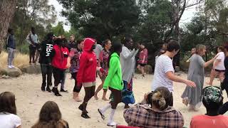 Brolga dance  Yolngu visit to Willum Warrain [upl. by Roscoe]