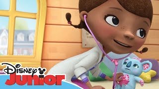 Doktor McStuffins Lalas första olycka  Disney Junior Sverige [upl. by Mauri]