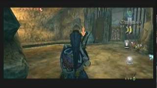 Legend of Zelda Twilight Princess Walkthrough 10 26 quotLakebed Temple Upper Westquot [upl. by Ondrej]