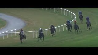 Racing highlights from Limerick  26th July 2018 [upl. by Dnyletak875]