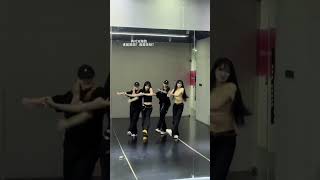 Fire 2NE1 투애니 원 dance cover [upl. by Lynnworth]