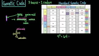 The Genetic Code [upl. by Niroc]