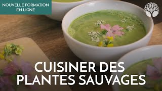 Découvrez notre nouvelle formation quotCuisine des plantes sauvagesquot [upl. by Schroth]