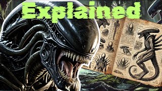 Xenomorphs The Alien Species Explained [upl. by Moses]