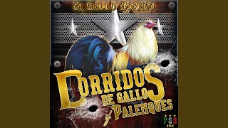 El Corrido Del Gallo Blanco [upl. by Ecart]