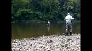 trailer New Midge fly fishing With Davy Wotton [upl. by Ecniuq]