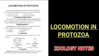 LOCOMOTION IN PROTOZOABSC 1st year zoology zoology zoologynotes vbu bbmku mu [upl. by Pazice]