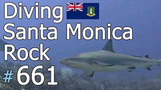 Santa Monica Rock Norman Island 🇻🇬 661 [upl. by Ahsin]