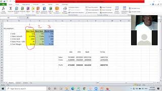 Scenario Manager for Excel Models [upl. by Odoric]