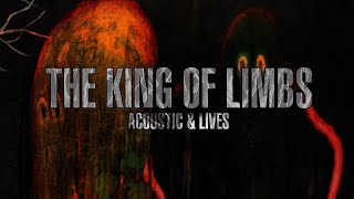 Radiohead  The King of Limbs 2011  Acoustic Lives amp Early [upl. by Anwahsar660]