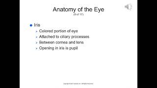 Spring Pharm Ch10 Ophthalmic Agents [upl. by Lydell]