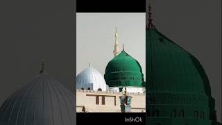 Shahe Madina Shahe Do Aalam 💚💚💚 [upl. by Assadah]