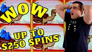 MUST SEE This Before Playing CASINO  Las Vegas Slots BIGGEST BETS [upl. by Martel]