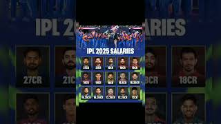 IPL salary [upl. by Goldberg263]