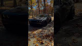 Dodge💖🥰🔥dodge song subscribe shorts [upl. by Namqul]