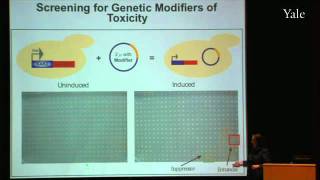 Tackling Protein Misfolding Diseases [upl. by Ynatsyd]